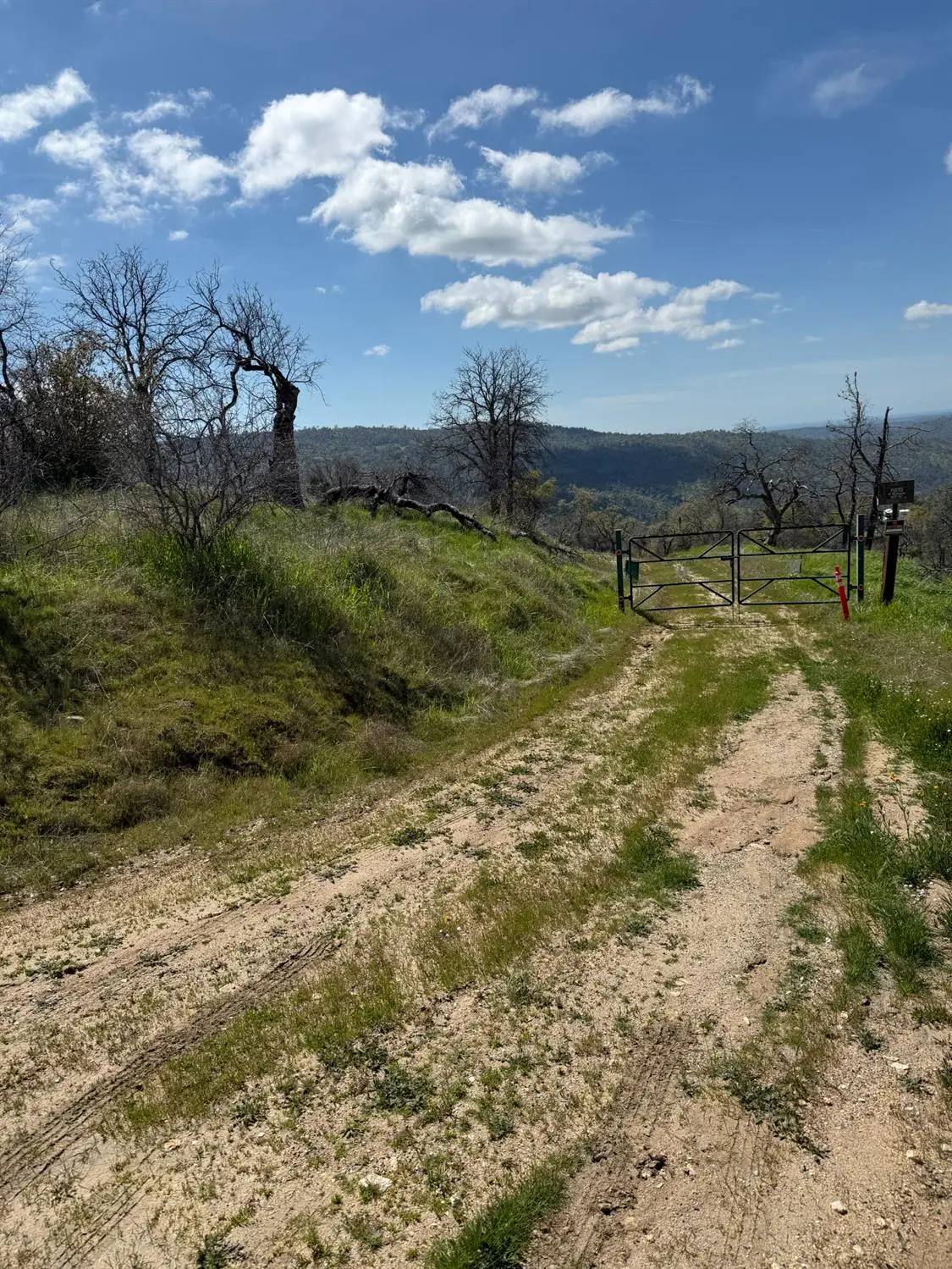 38914 Road 810, Raymond, CA 93653 - #1