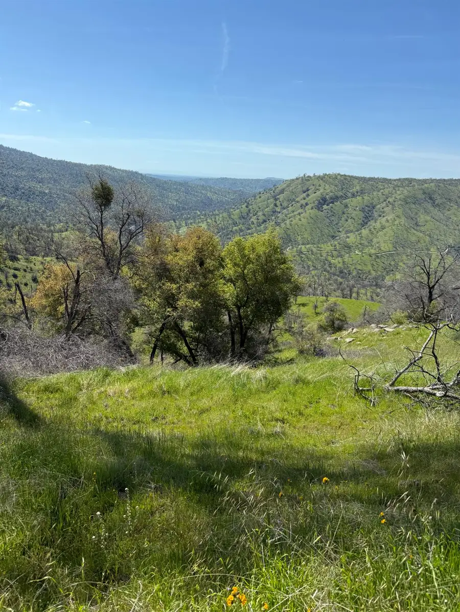 38914 Road 810, Raymond, CA 93653 - #3