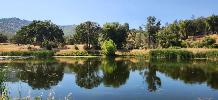 7551 Hunters Valley Road, Mariposa, CA 95338 - #3