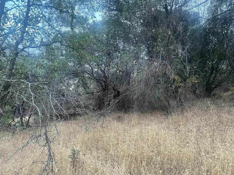 40 Apache Ranch, Ahwahnee, CA 93601 - Image #3