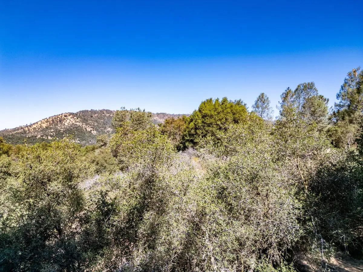 41902 Woodward Way, Ahwahnee, CA 93601 - Image #1