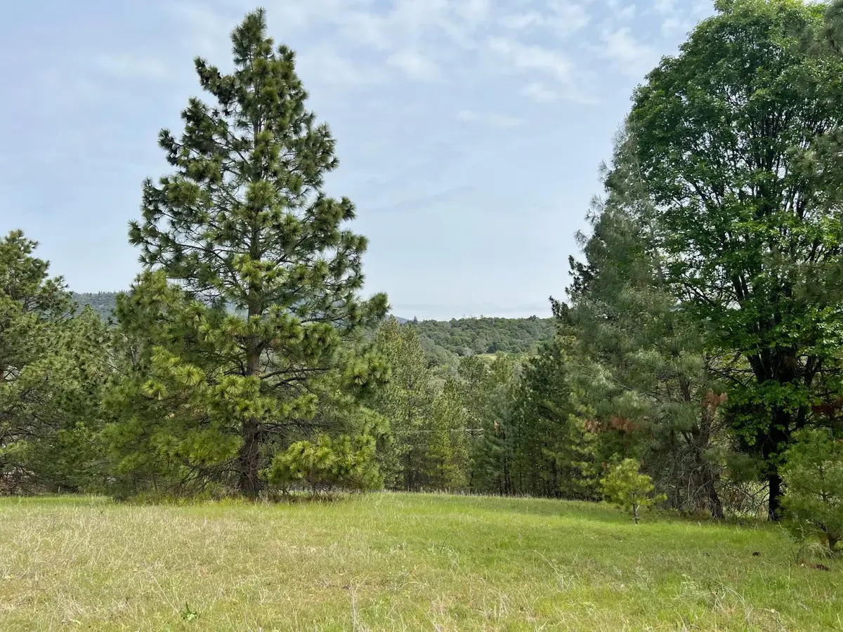 0 Watt Road, Mariposa, CA 95338 - Image #1