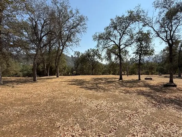 #3