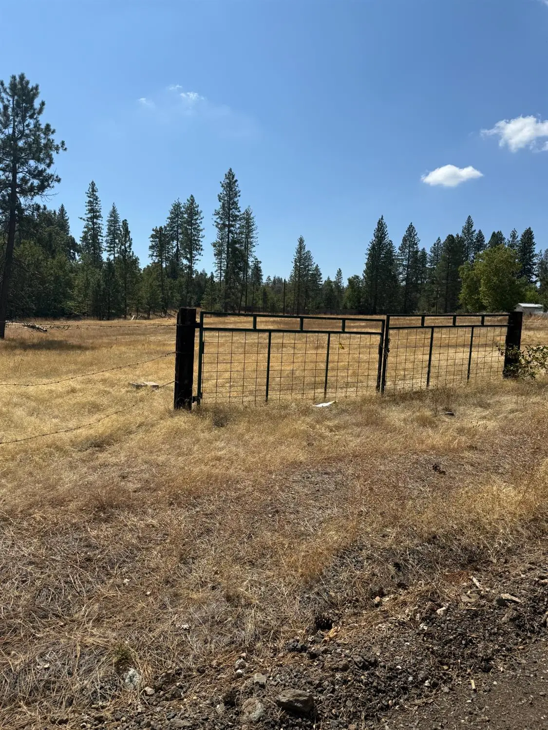 6479 Pine Dr., Coulterville, AP 96311 - Image #1