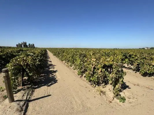 1 S Bishop Avenue, Kerman, CA 93630 - Image #1