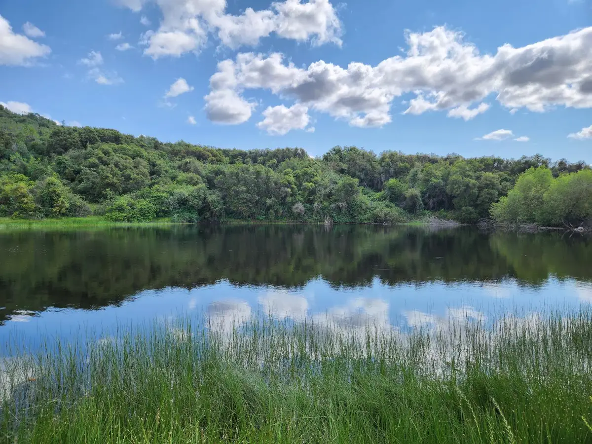 44001 Dunlap Road, Miramonte, CA 93641 - #1