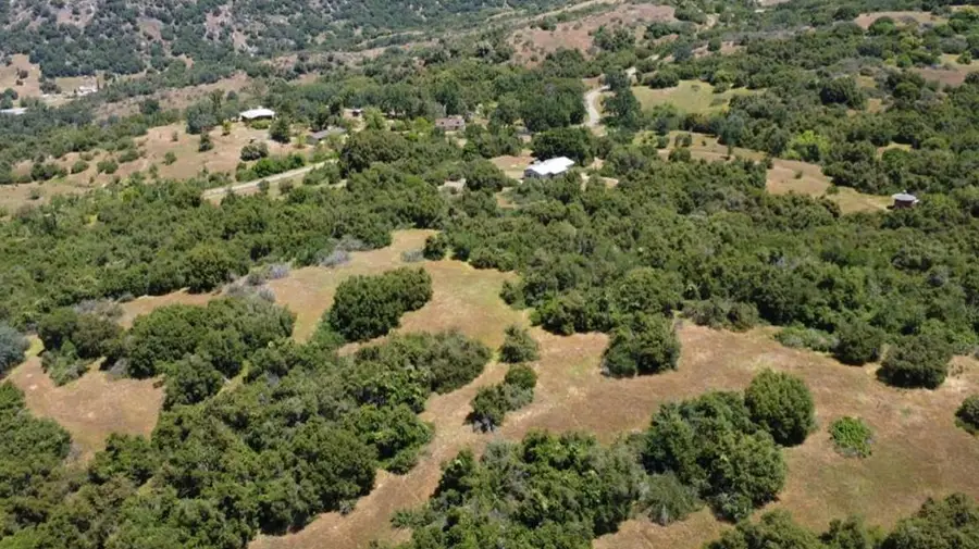 44001 Dunlap Road, Miramonte, CA 93641 - #2