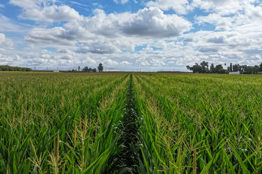 0 Rd. 140, Visalia, CA 93292 - Image #2