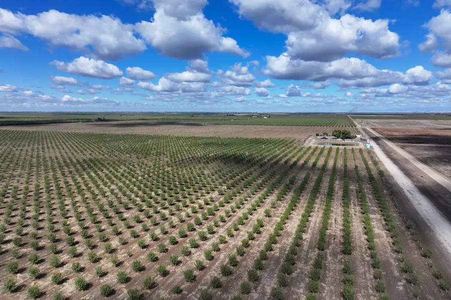 0 Road 168, Delano, CA 93215 - Image #3