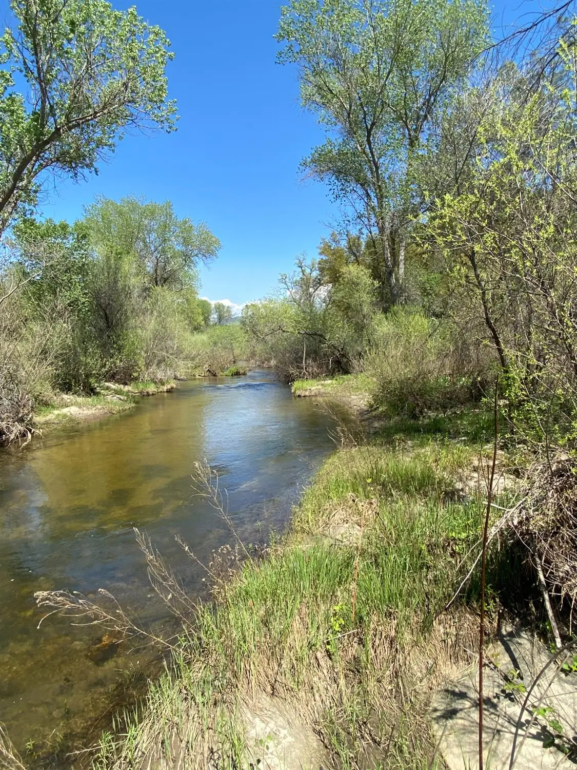 31560 Road 400, Coarsegold, CA 93614 - Image #1