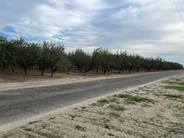 1105 E Rose Avenue, Fresno, CA 93725 - Image #2