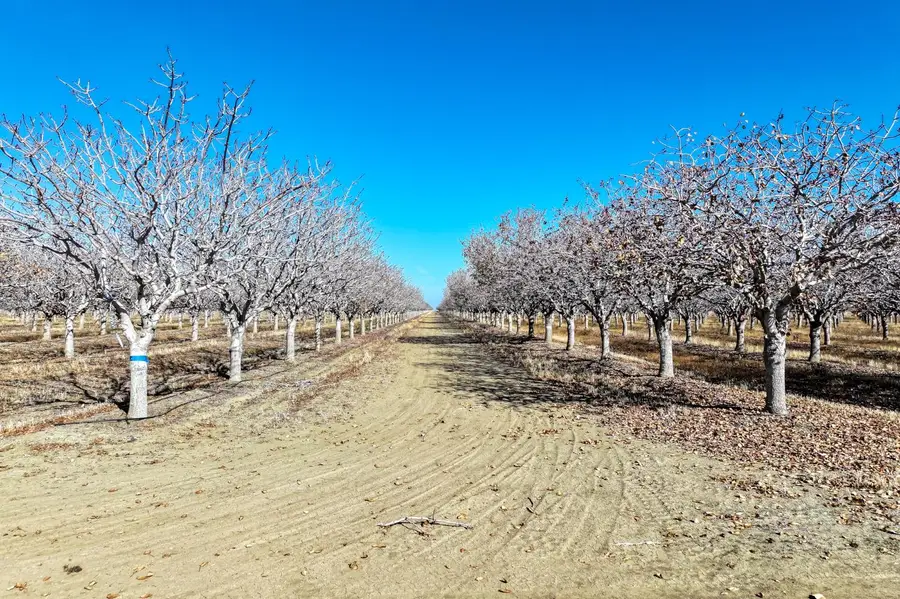 33751 W Adams Avenue, Mendota, CA 93640 - Image #2