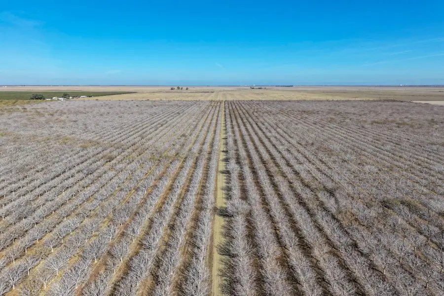 33751 W Adams Avenue, Mendota, CA 93640 - Image #3