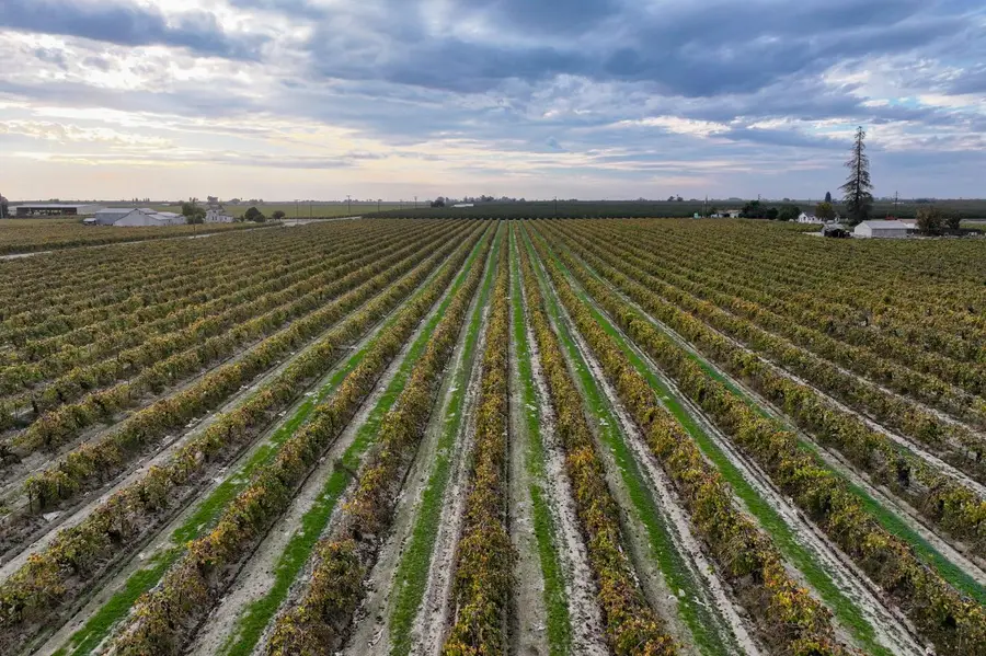 11836 S Hughes Avenue, Caruthers, CA 93609 - #2