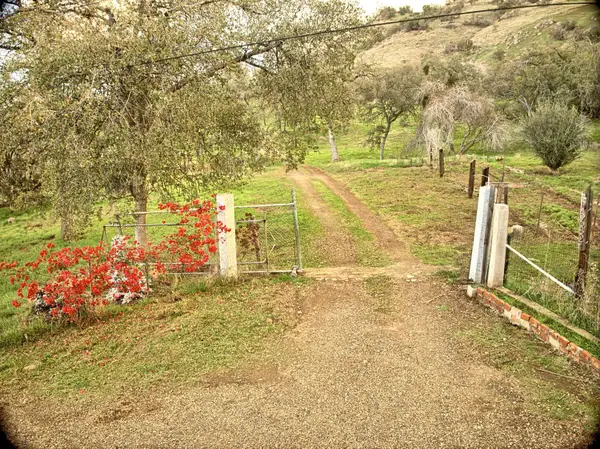 45682 Columbine Lane, Yokuts Valley, CA 93675