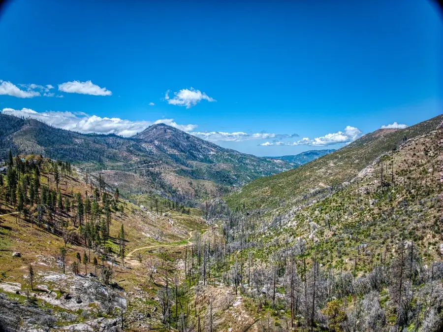 55277 Jungle Town Lane, Big Creek, CA 93605 - Image #2