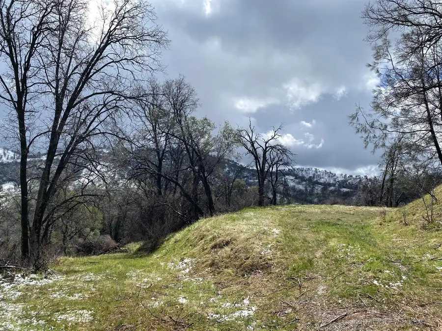 1 Hummingbird Ln, Coarsegold, CA 93614 - Image #3
