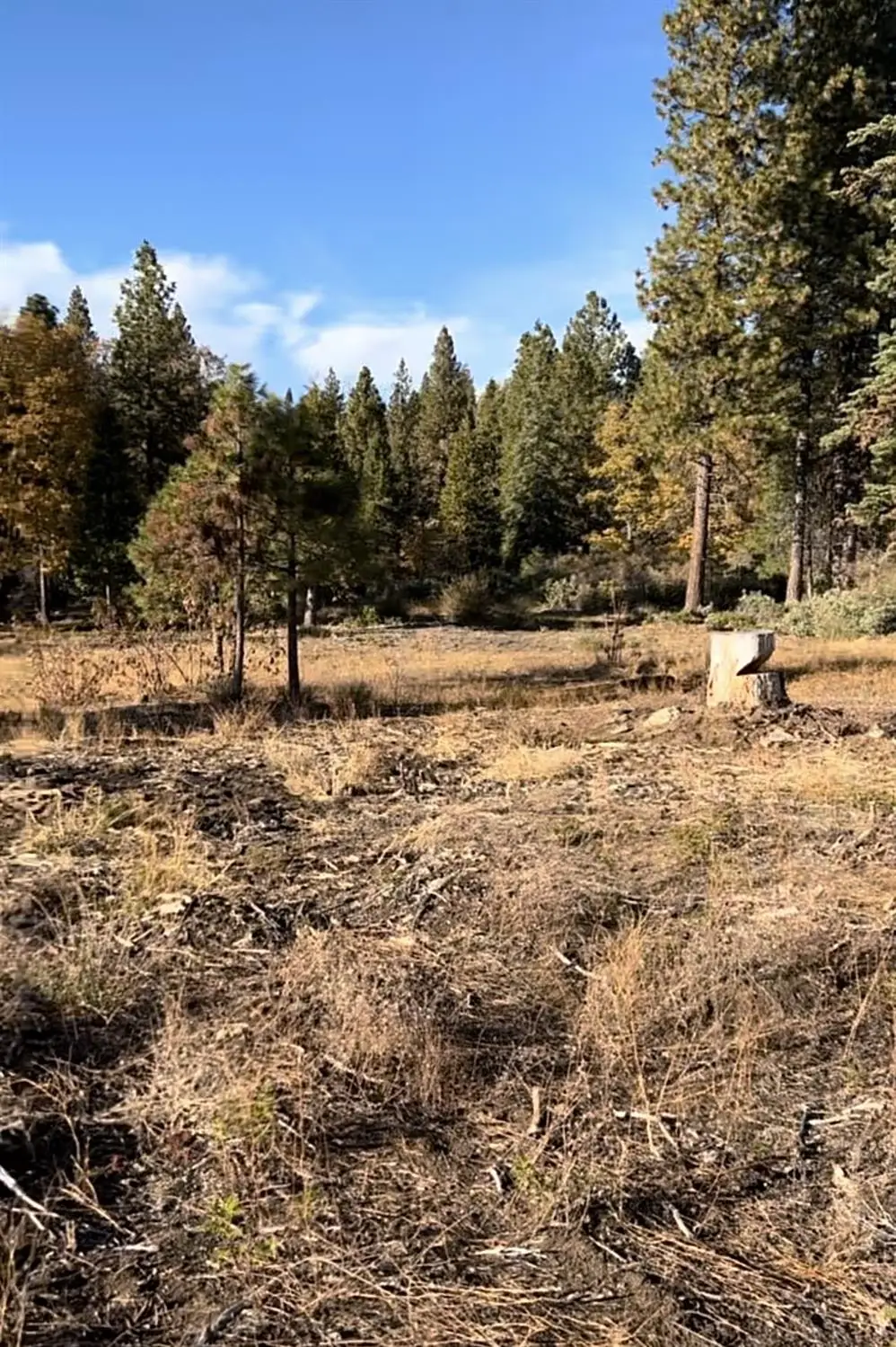 0 Shaver Lake, Auberry, CA 93602 - Image #1