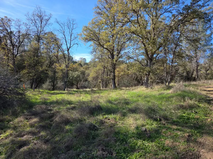 12 12.19 Ac Road 222, North Fork, CA 93643 - Image #2