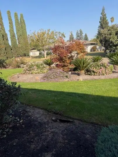 141 W Twain Avenue, Fresno, CA 93704 - Image #3