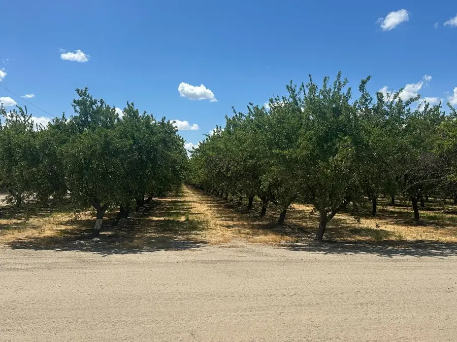 12250 S Jameson Avenue, Fresno, CA 93706 - Image #2