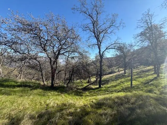 40 Big Springs Road, Tollhouse, CA 93667 - Image #1