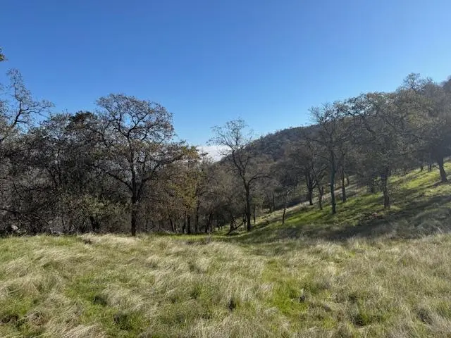 40 Big Springs Road, Tollhouse, CA 93667 - Image #2