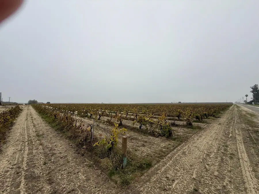 13242 S Willow Ave, Selma, CA 93662 - Image #2