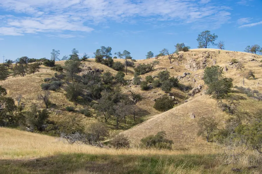 120 Millstream, Coarsegold, CA 93614 - Image #3