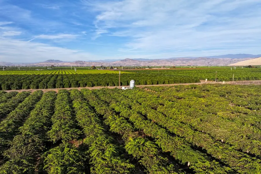 0 Avenue 396, Cutler, CA 93615 - Image #2