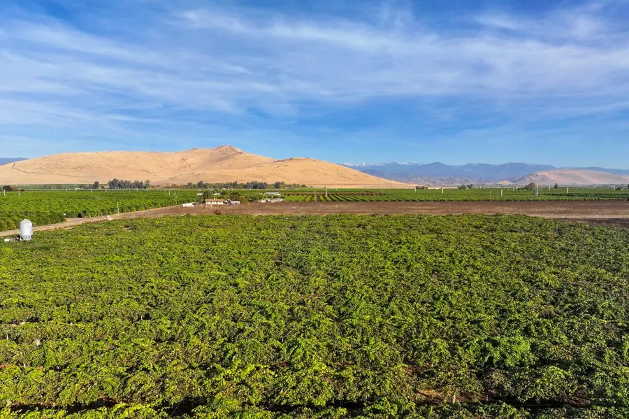 0 Avenue 396, Cutler, CA 93615 - Image #3