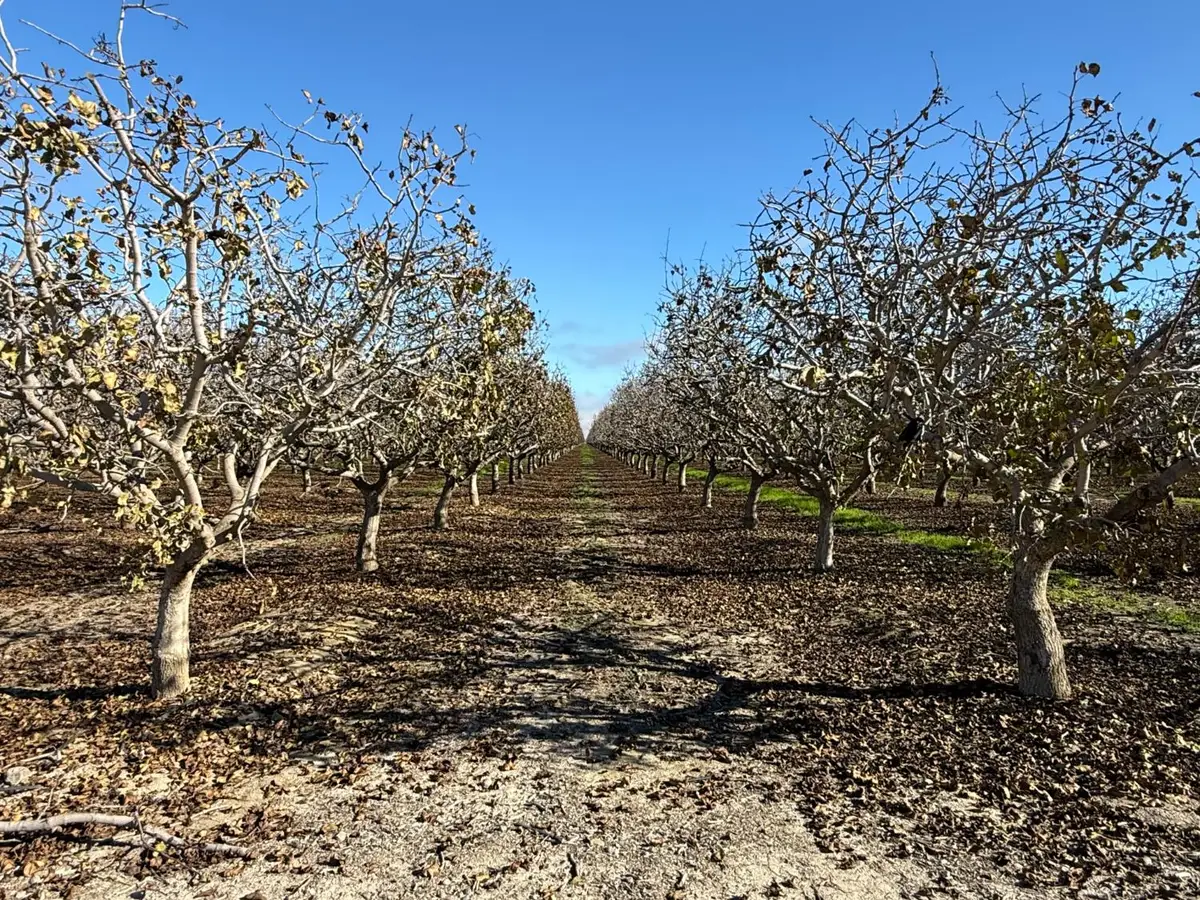 28000 W Jayne, Coalinga, CA 93210 - Image #1