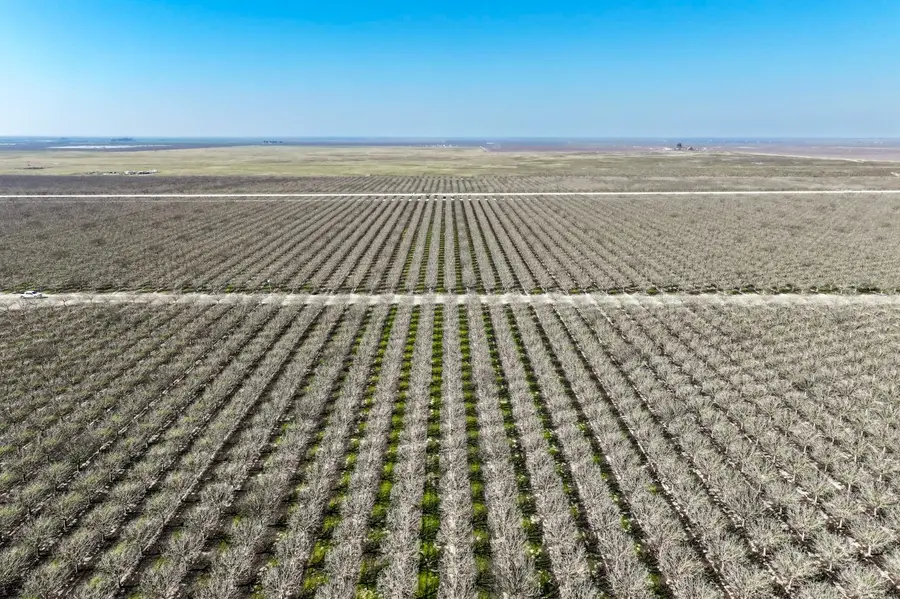 0 Avenue 16, Allensworth, CA 93219 - Image #2