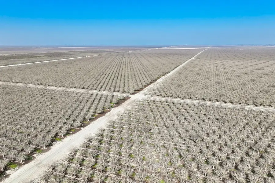 0 Avenue 16, Allensworth, CA 93219 - Image #3