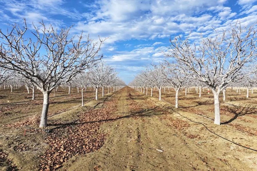 0 W Conejo Avenue, Cantua Creek, CA 93608 - Image #2