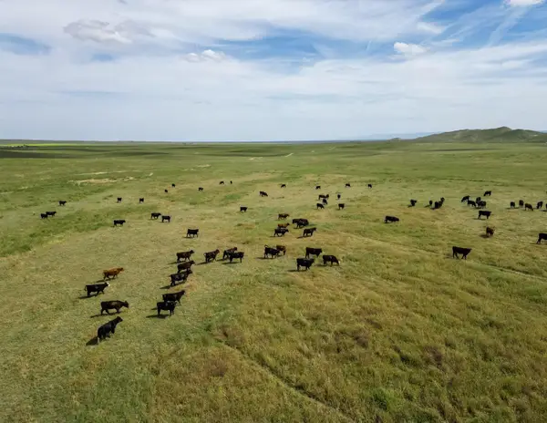 0 Barker Road, Lost Hills, CA 93249