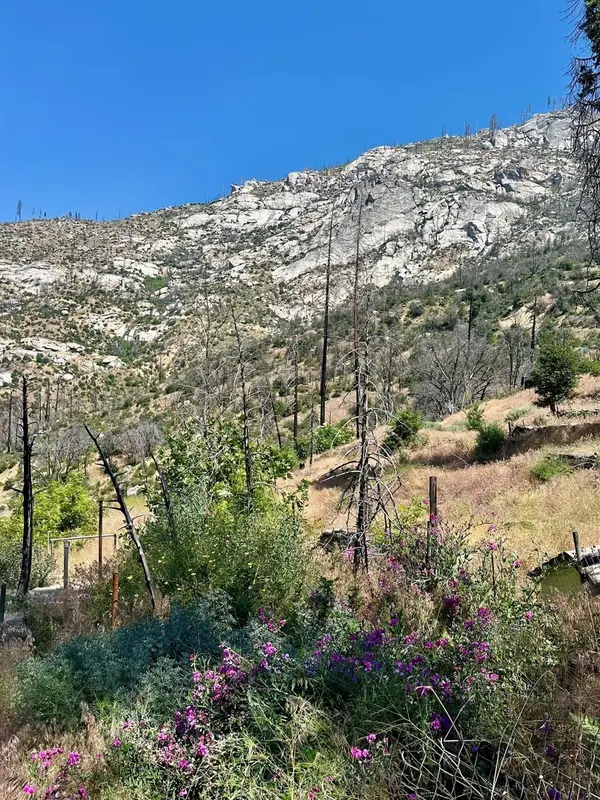 55178 Huntington Lake Road, Big Creek, CA 93605