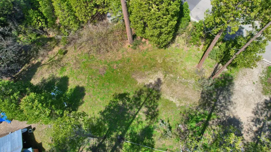 123 Dogwood Creek, Bass Lake, CA 93604 - Image #3