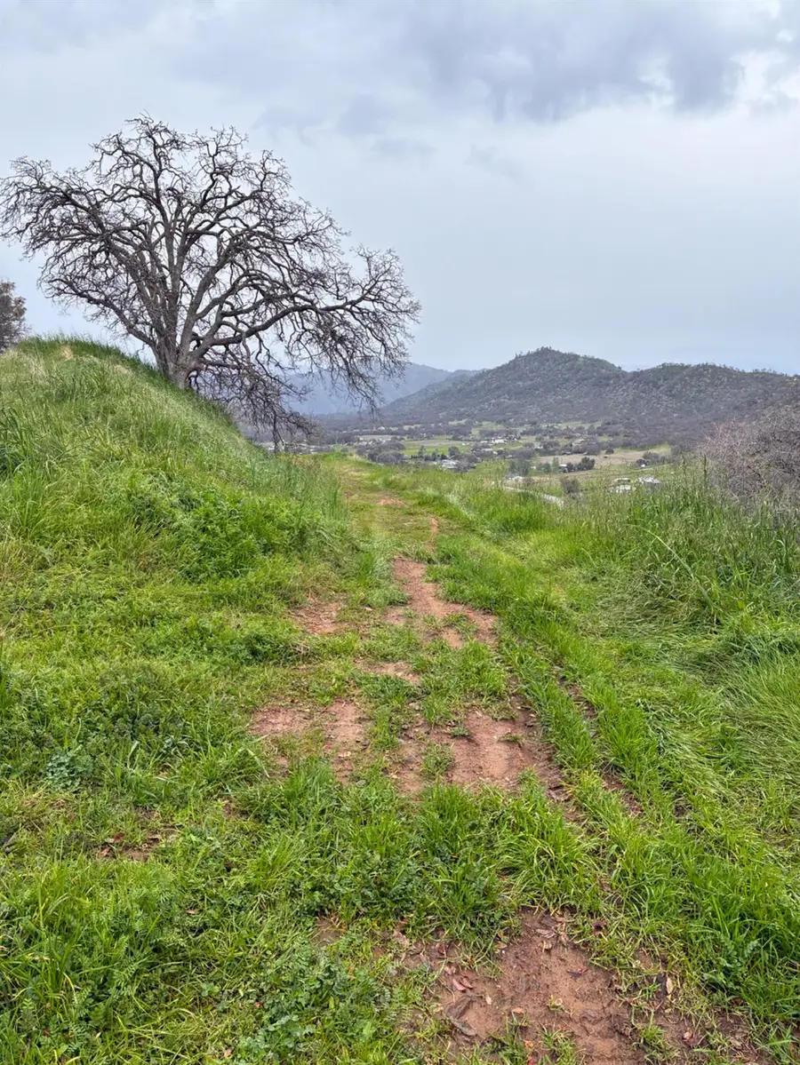 29421 Larkspur Road, Tollhouse, CA 93667 - Image #2