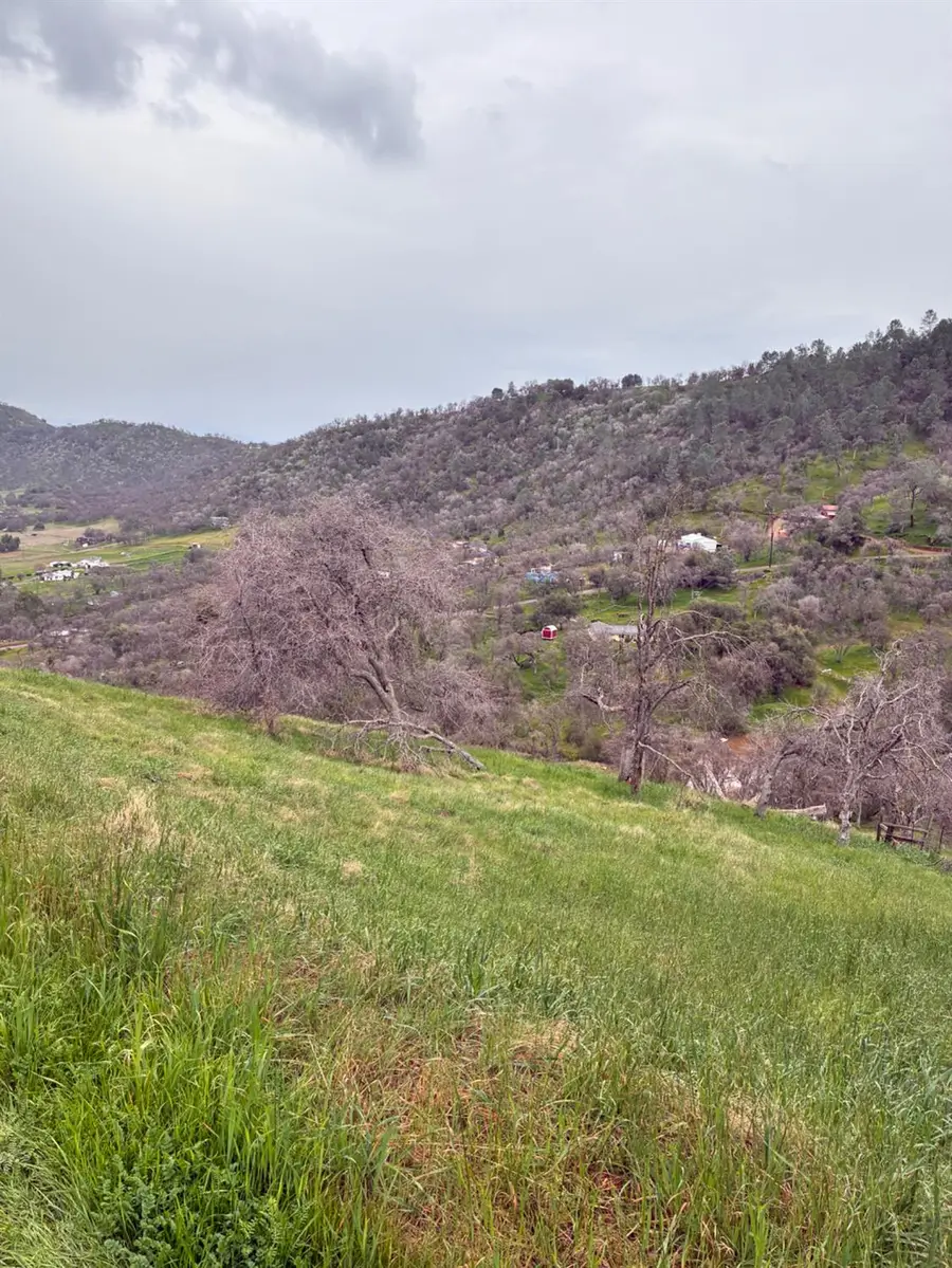 29421 Larkspur Road, Tollhouse, CA 93667 - Image #3