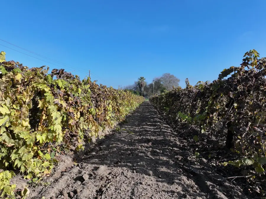 4801 E Parlier Avenue, Fowler, CA 93625 - Image #2