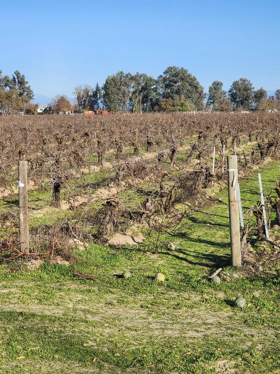 9614 S East Avenue, Fresno, CA 93725 - Image #3