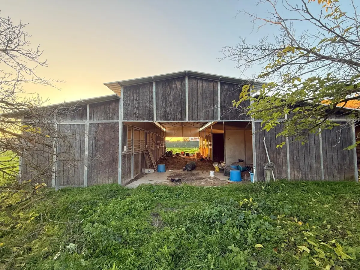 35570 Avenue 14 1/2, Madera, CA 93636 - Image #1