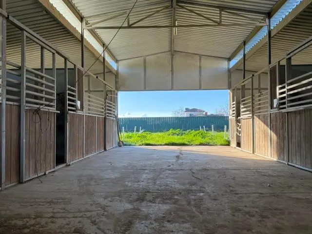 35570 Avenue 14 1/2, Madera, CA 93636 - Image #3