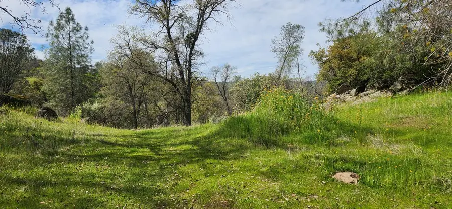 41853 Starlight Court, Coarsegold, CA 93614 - Image #3