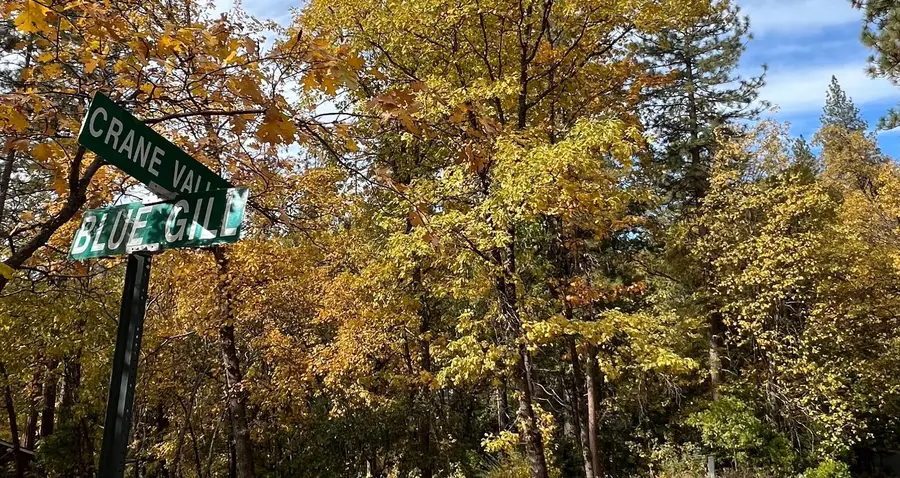 54692 Blue Gill #441, Bass Lake, CA 93604 - #3