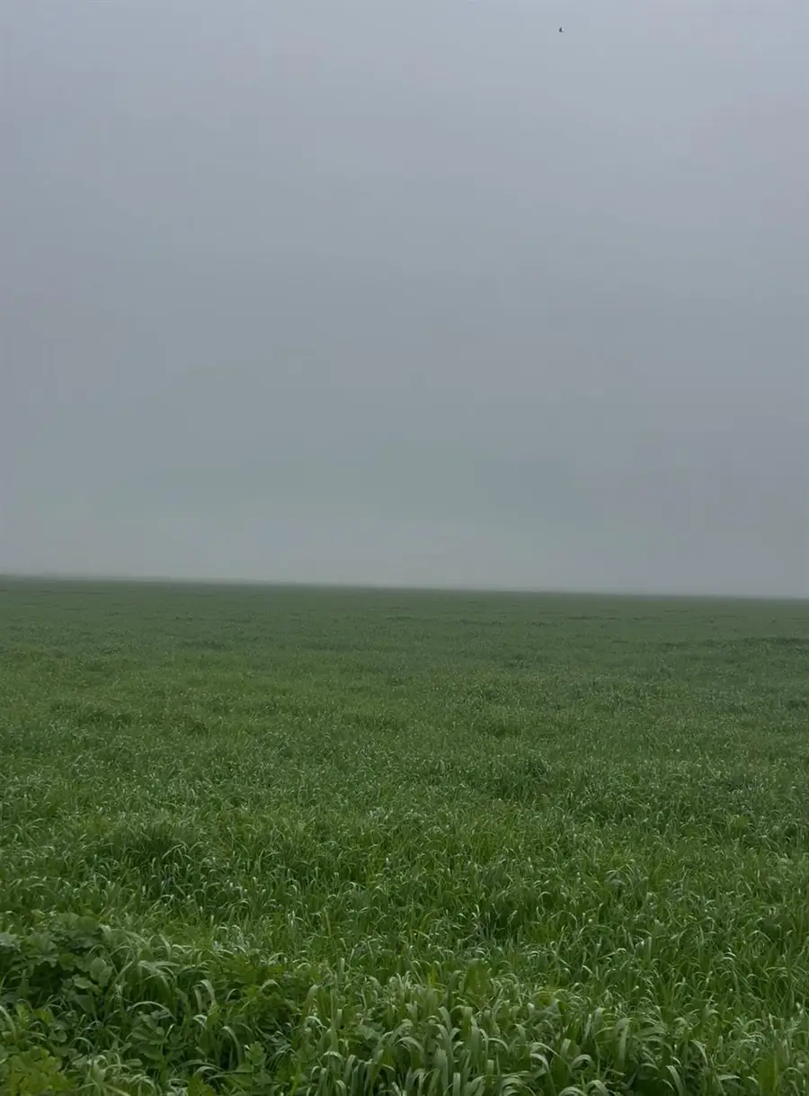 12010 E Childs Avenue, Le Grand, CA 95333 - Image #3