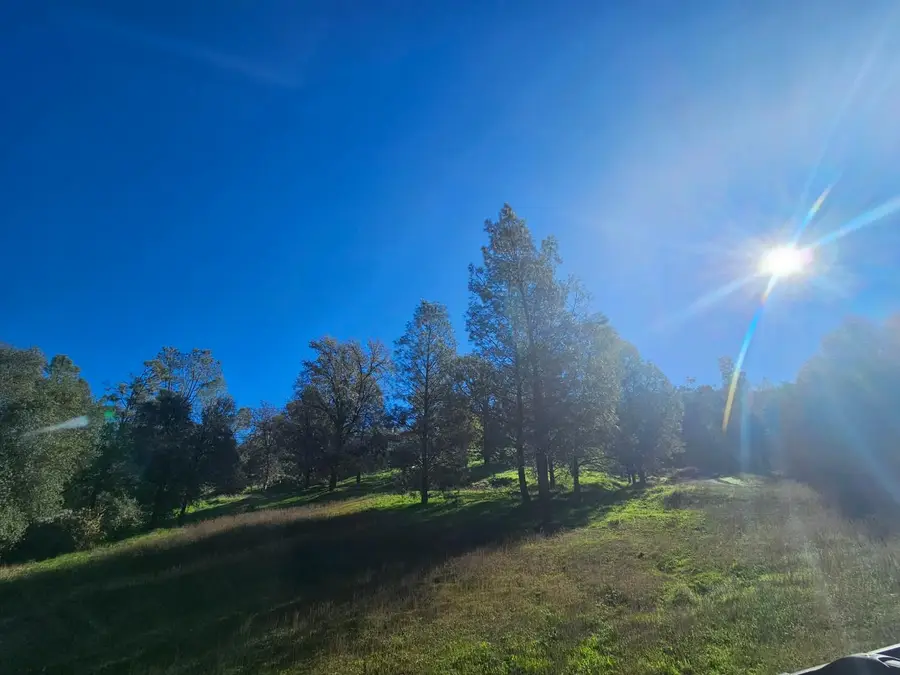 59366 Road 225, North Fork, CA 93643 - #2