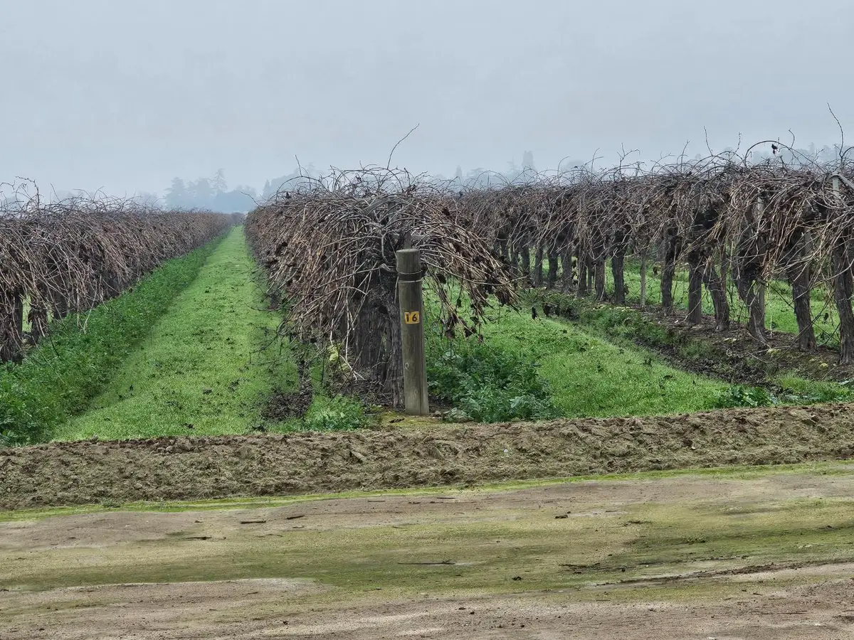 200 S Hayes Avenue, Fresno, CA 93723 - Image #1