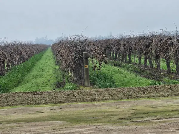 200 S Hayes Avenue, Fresno, CA 93723